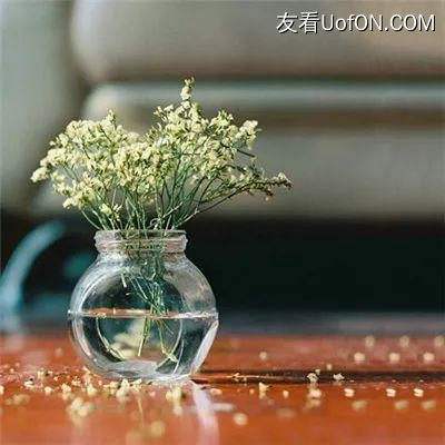 仙手摘天手游下载