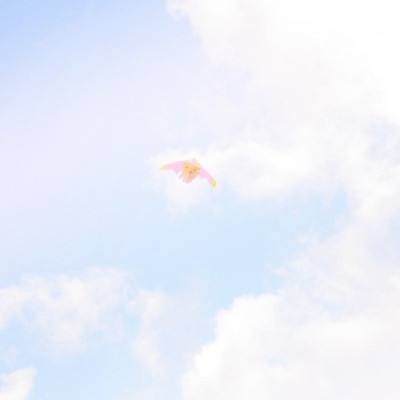 粉刷匠大作战无敌版下载