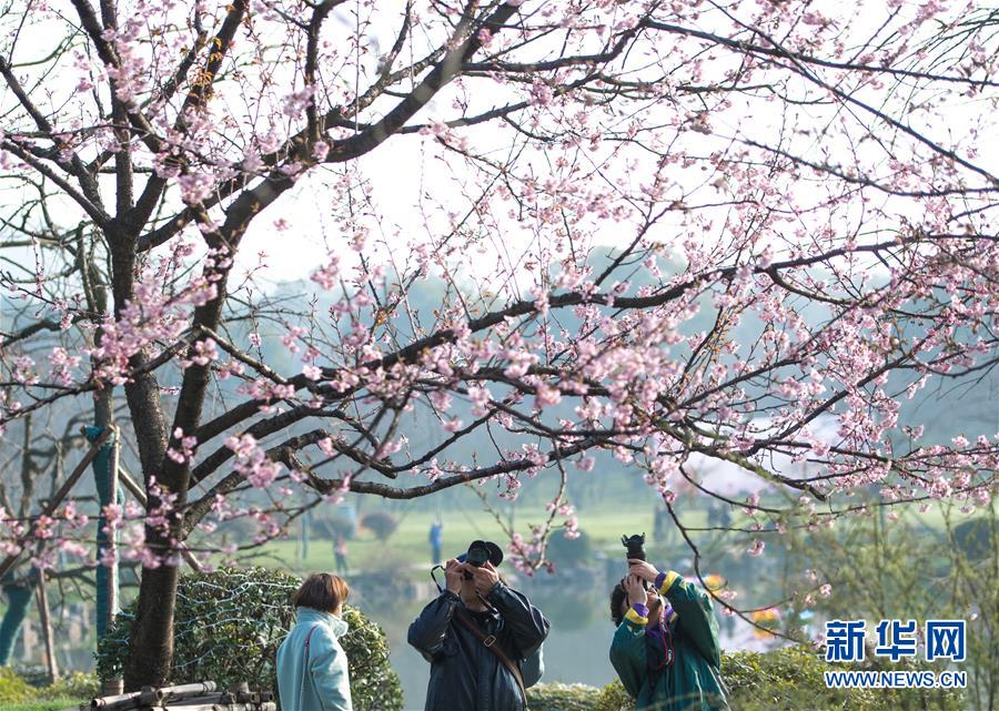 超级群英传3k破解版下载